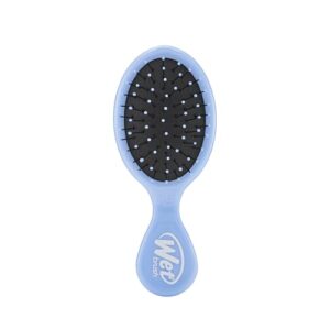 Wet Brush Squirt Detangling Brush, Sky – Mini Deta…