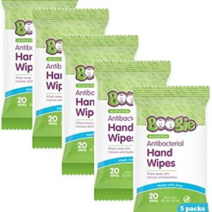 Antibacterial Hand Wipes by Boogie, Alcohol Free, …